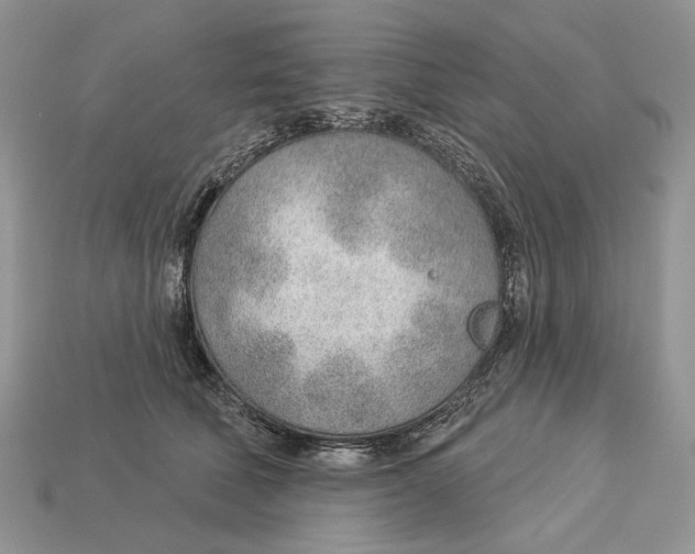 X0000112980610200909171340