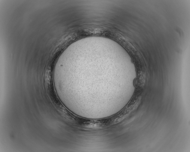 X0000112980612200909171340