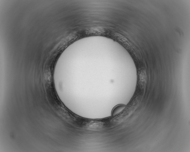 X0000112980617200909171340