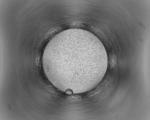 X0000112980619200909171339