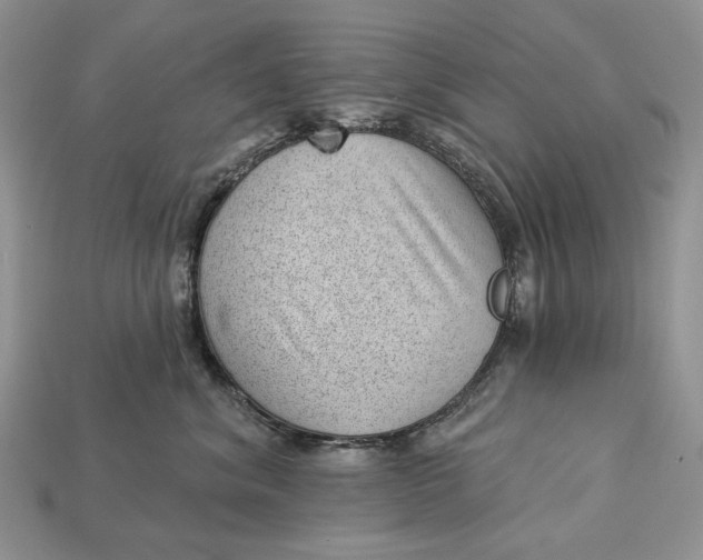 X0000112980620200909171339