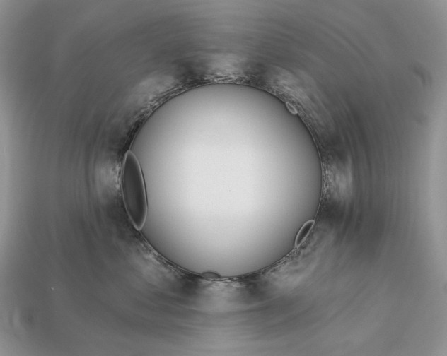 X0000112980621200909171339