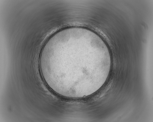 X0000112980625200909171339