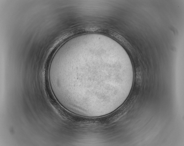 X0000112980626200909171339