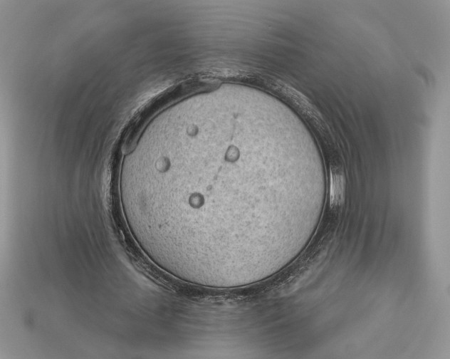 X0000112980627200909171339