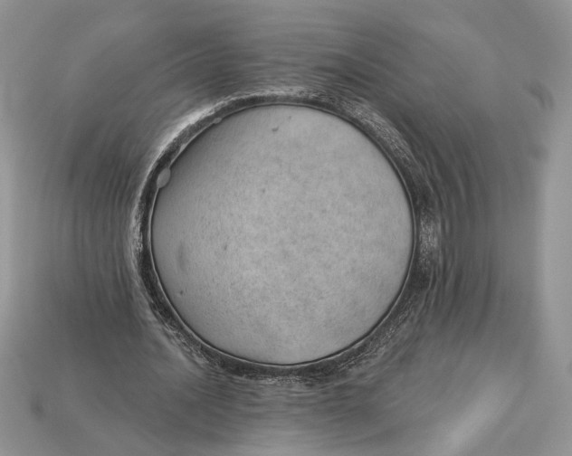 X0000112980628200909171339