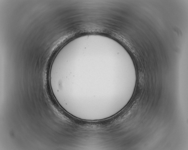 X0000112980629200909171339