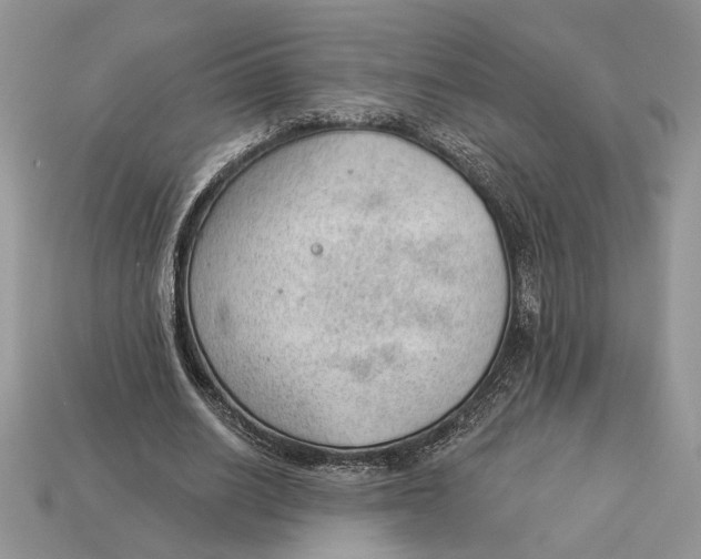 X0000112980630200909171339