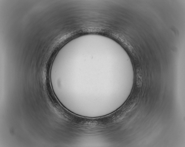 X0000112980631200909171339