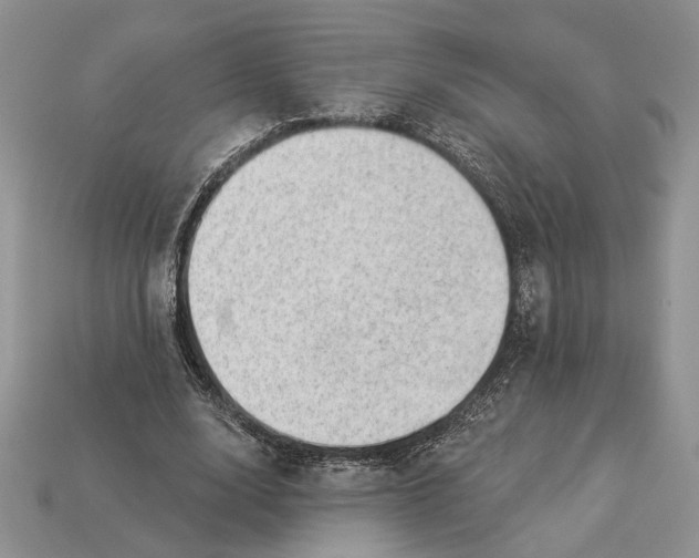 X0000112980632200909171339