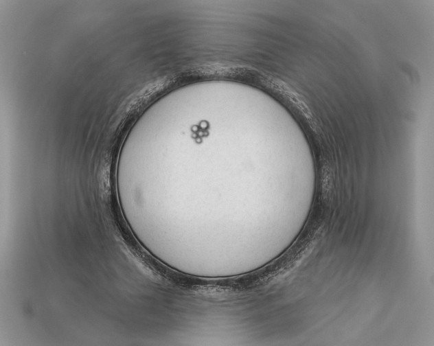 X0000112980633200909171339