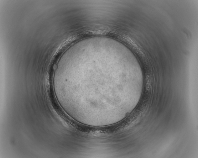 X0000112980634200909171339