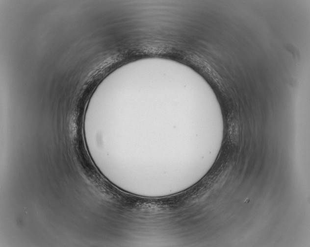 X0000112980635200909171339