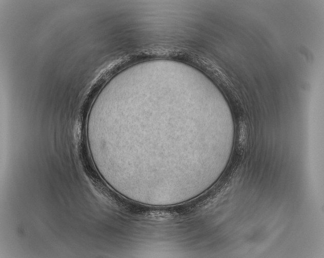 X0000112980636200909171339