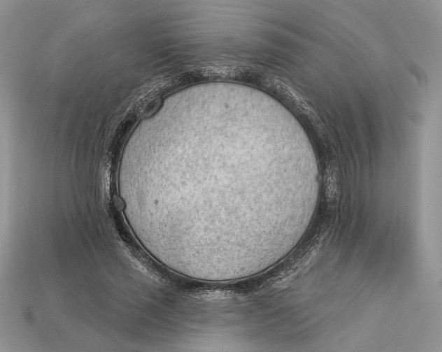 X0000112980637200909171339