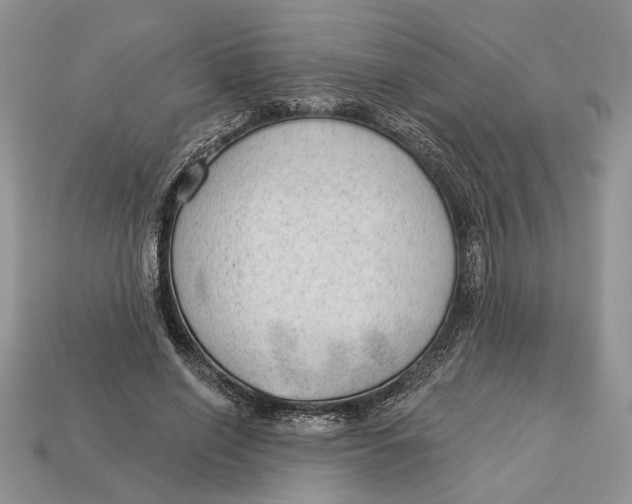 X0000112980638200909171339