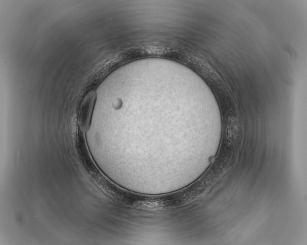 X0000112980639200909171339