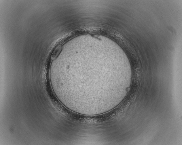 X0000112980640200909171339