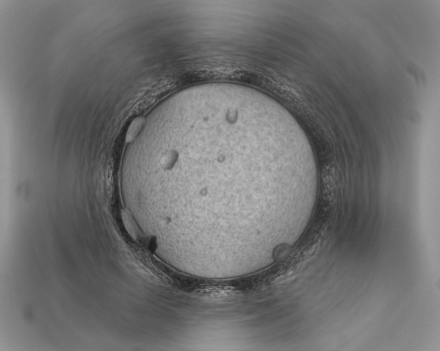 X0000112980642200909171339