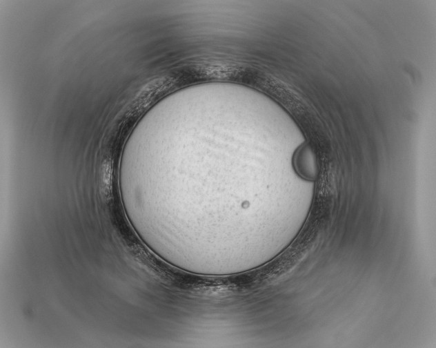 X0000112980646200909171339