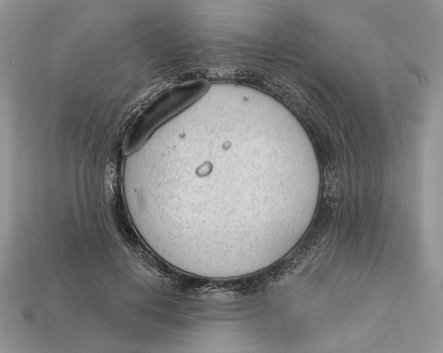 X0000112980648200909171339