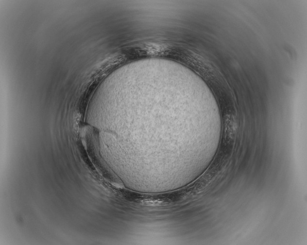 X0000112980650200909171339