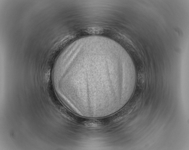 X0000112980652200909171339