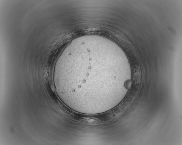 X0000112980654200909171339