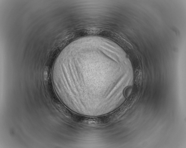 X0000112980655200909171339