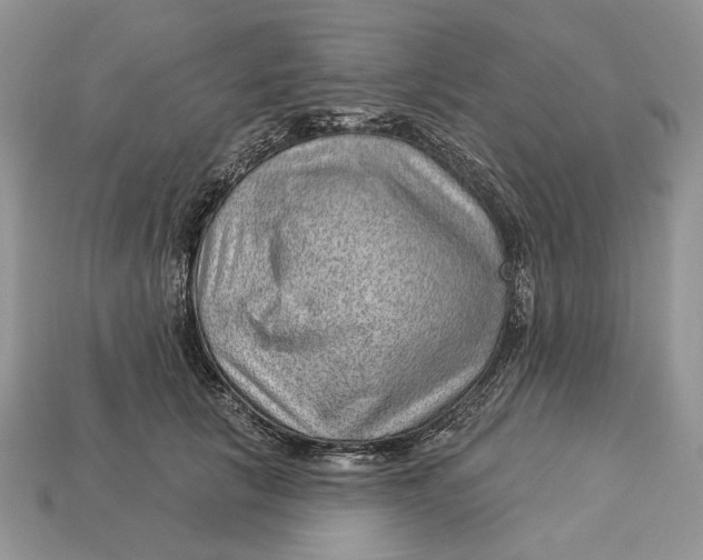 X0000112980657200909171339