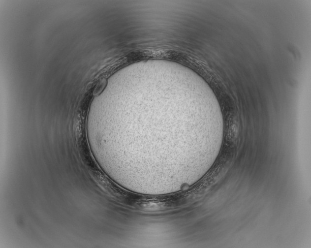 X0000112980658200909171339