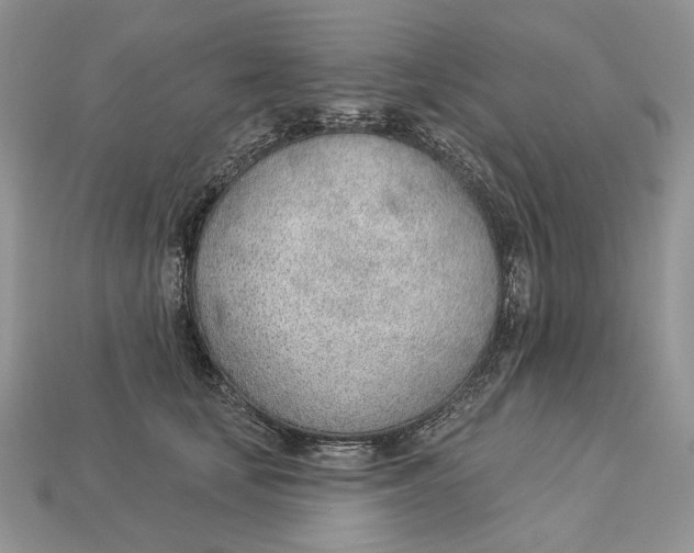 X0000112980659200909171339