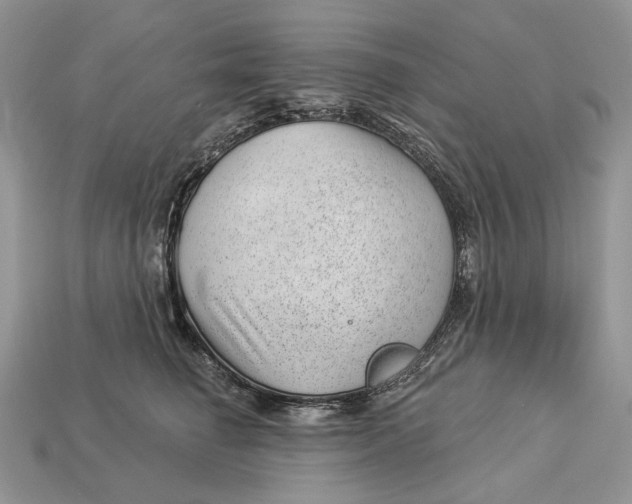 X0000112980662200909171339