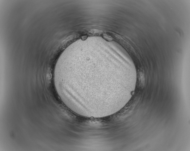 X0000112980668200909171339