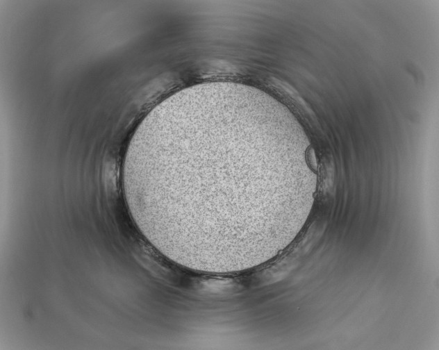 X0000112980669200909171339