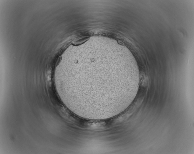 X0000112980670200909171339