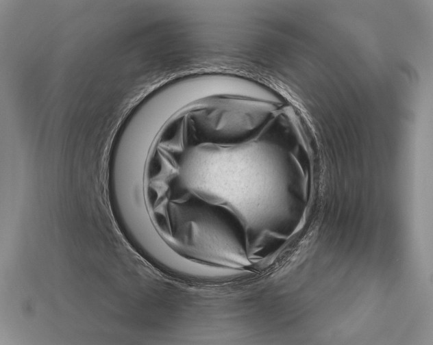 X0000112980673200909171339