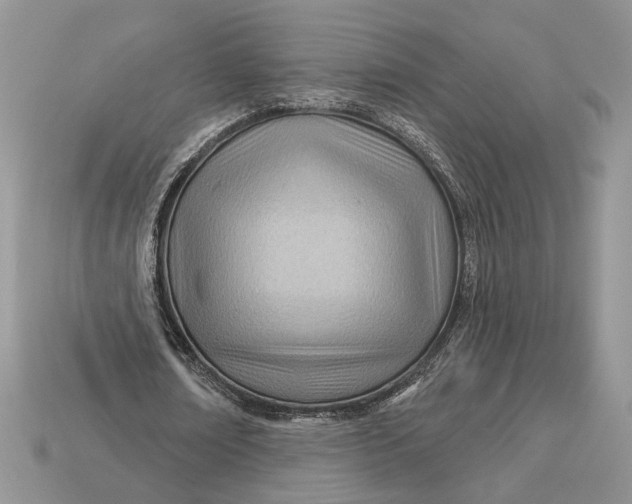 X0000112980674200909171339