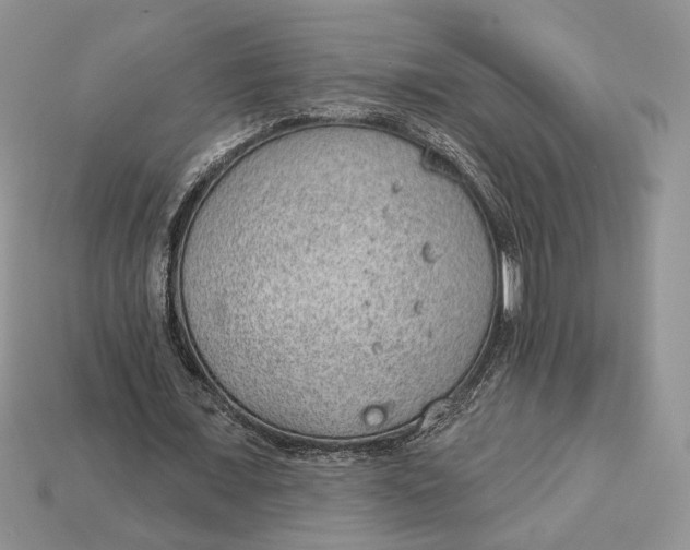 X0000112980675200909171339