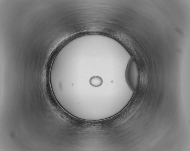 X0000112980676200909171339