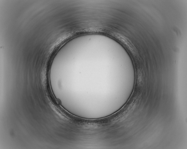 X0000112980677200909171339