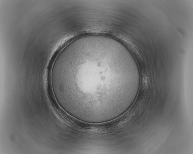 X0000112980678200909171339