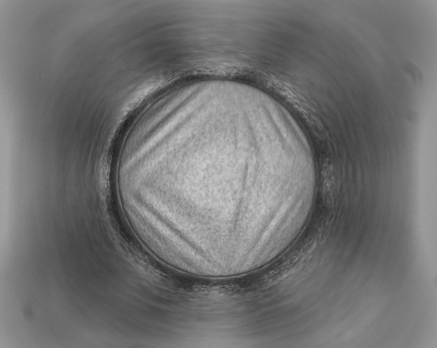 X0000112980679200909171339