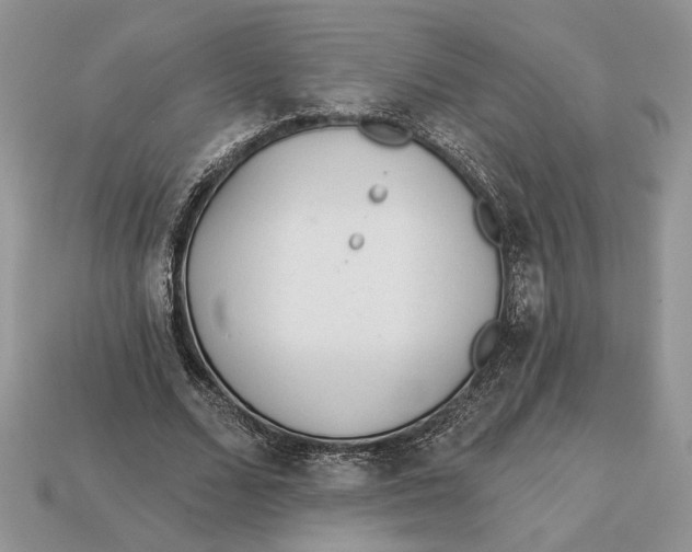 X0000112980680200909171339