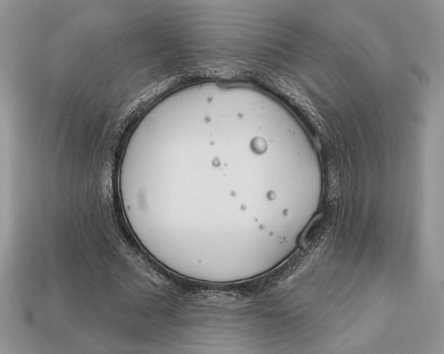 X0000112980681200909171339