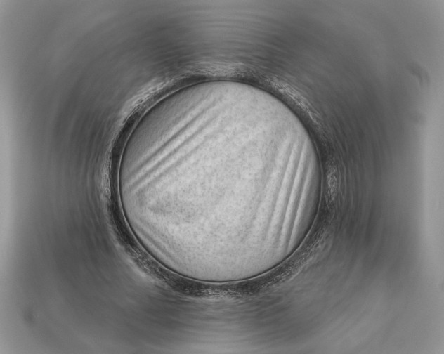 X0000112980682200909171339