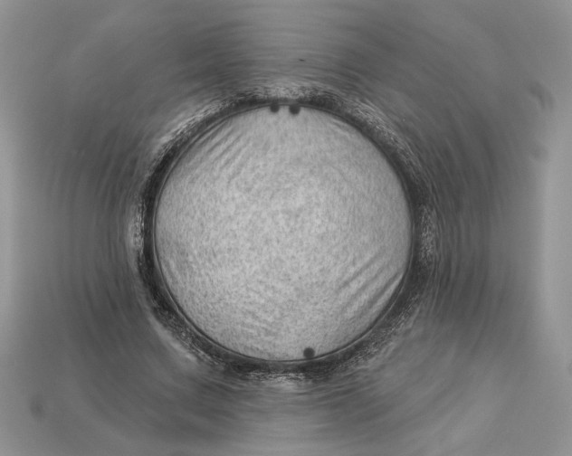 X0000112980683200909171339