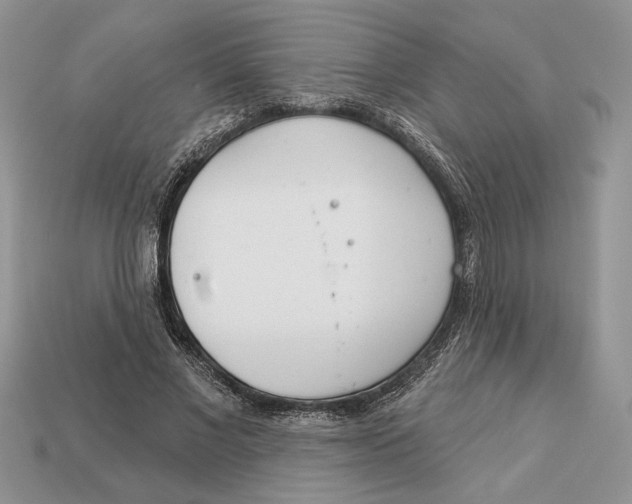 X0000112980685200909171339