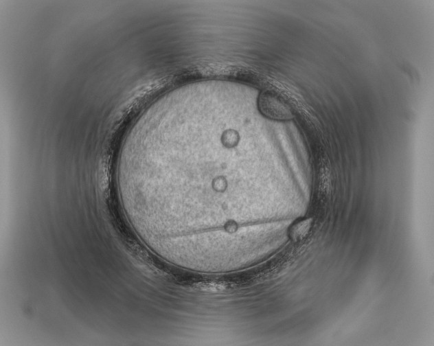 X0000112980687200909171339