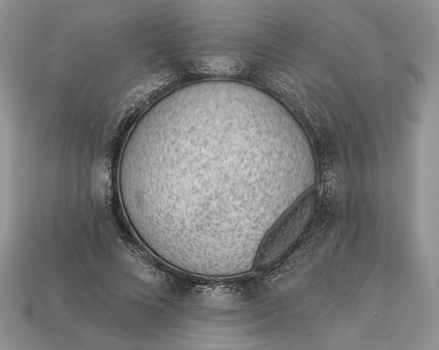 X0000112980688200909171339